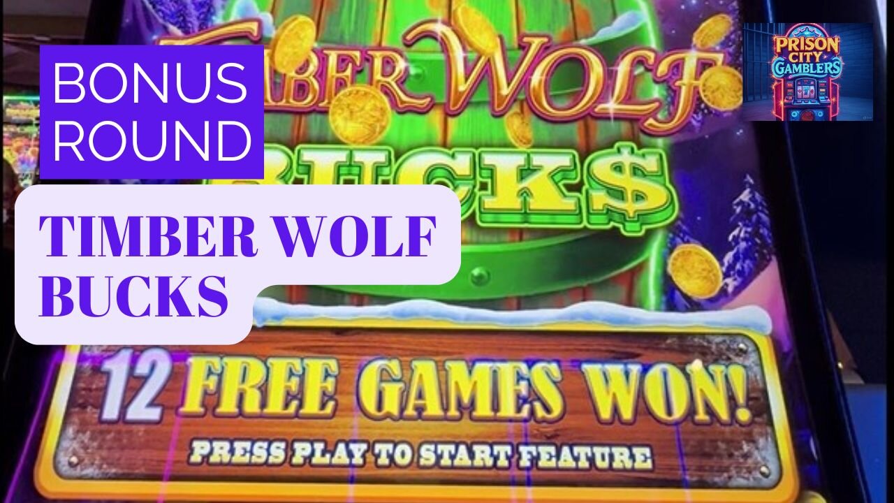 200x Win on Timber Wolf Bucks 💥🎰🧨