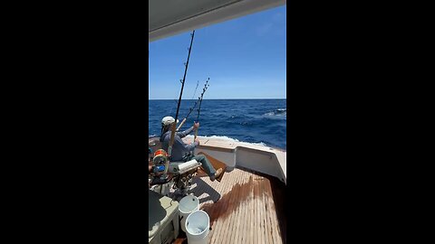 Captain Kendall of Gemach Offshore in Action