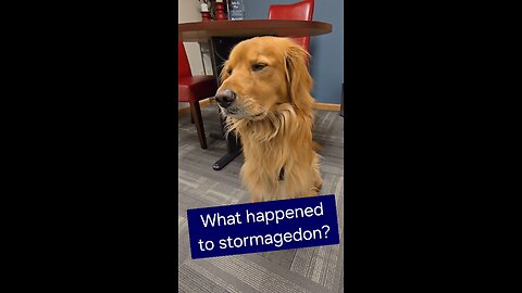 What happened to stormagedon?