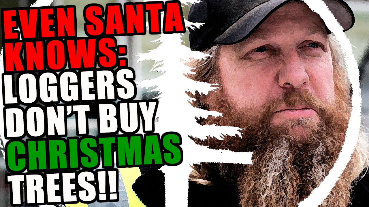 A Logger's Guide To Finding The PERFECT Christmas Tree! SECRETS Revealed In This Insider's Guide