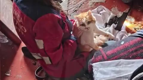 🐶🏚️ Ukraine War | Pets Rescued from Destroyed Kyiv Building | RCF