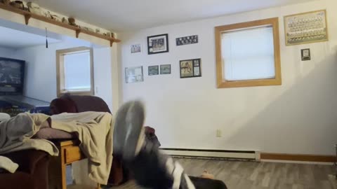 Exercising Everyday Day 108 #exercise #fitness