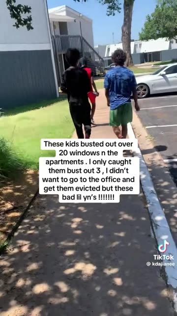 these kids busted out over 20 windows in the apartments