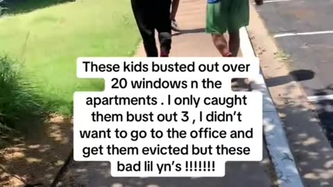 these kids busted out over 20 windows in the apartments