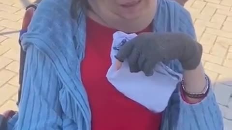 Ta kobieta miała 5 zastrzyków z COVID-em. Ucierpiała neurologicznie. Oczywiście nadal zaraziła się COVID-em.