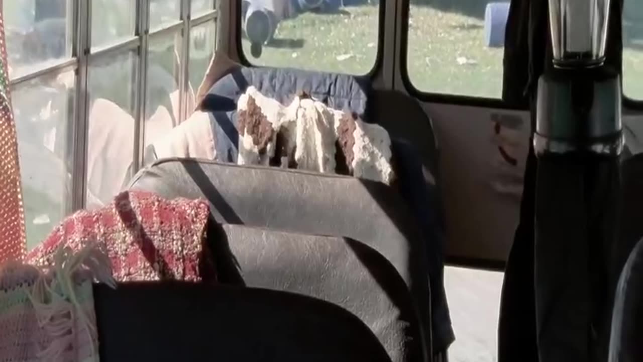 Epic Happiness Alert! Watch and Smile Away