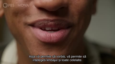 Creierul: Cine deține controlul?