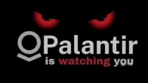 Palantir Grok Qu: Will Palantir end Privacy??