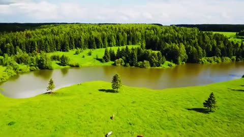 Nature video good morning 🌄