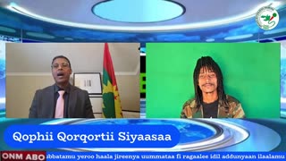 Qophii Qorqortii Siyaasaa ONM-ABO Sadaasa 16-2025 itti diyaadhaa!