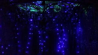 Giant Sequoia Full Moon Crystal Sky Therapy Session May 2025