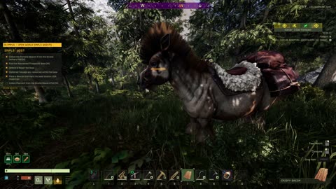 Icarus!