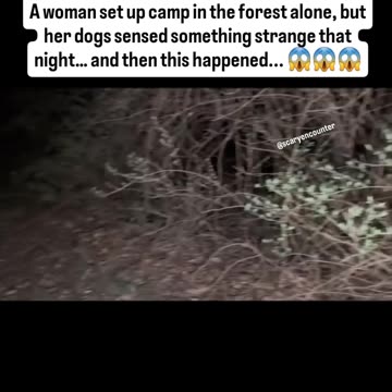 She was sneaking through the woods in Ohio with her two dogs when something unusual happened....