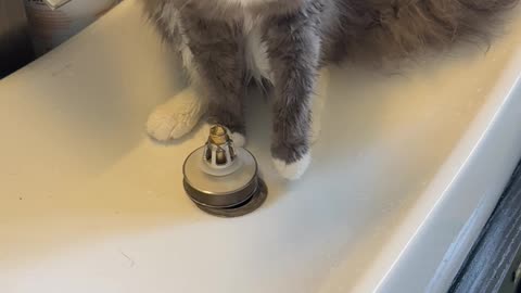 Don’t worry, ma’am! I’ll have your drain unclogged in a jiffy!