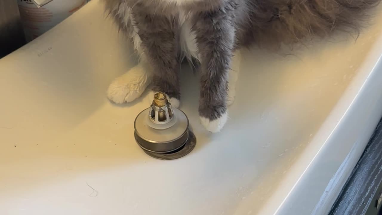 Don’t worry, ma’am! I’ll have your drain unclogged in a jiffy!