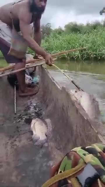 Shooting Fish from a Boat: An Ability Only a Few Master!
