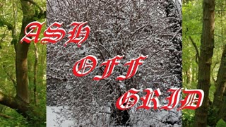 #finance , #inflation , cost of living, cost of food,
