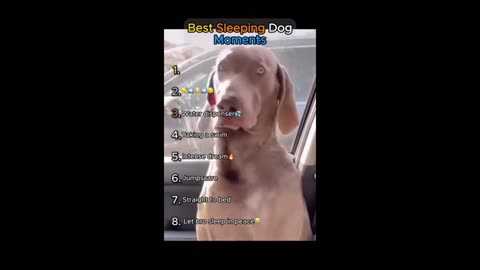 comedy video