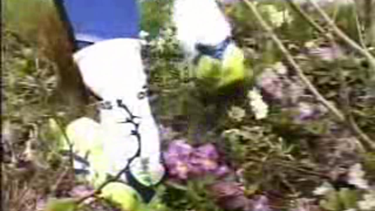 Asics Spikes Crushes Flowers - Male Content