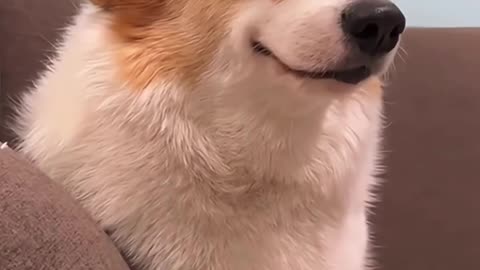 Look At That Smile!!