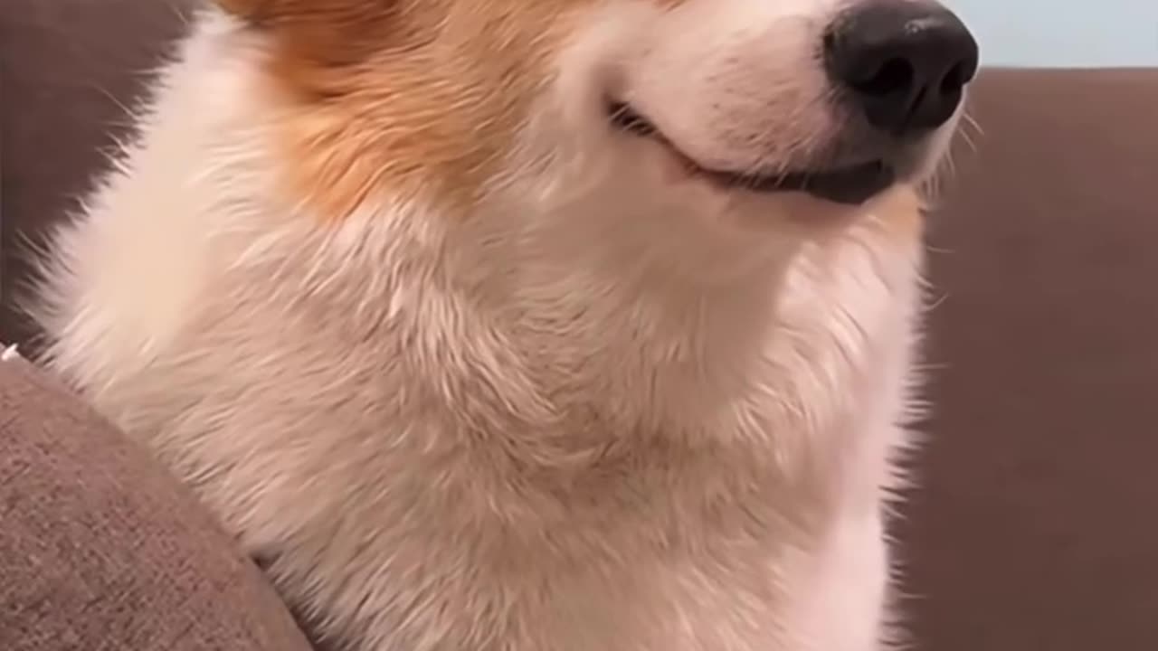 Look At That Smile!!