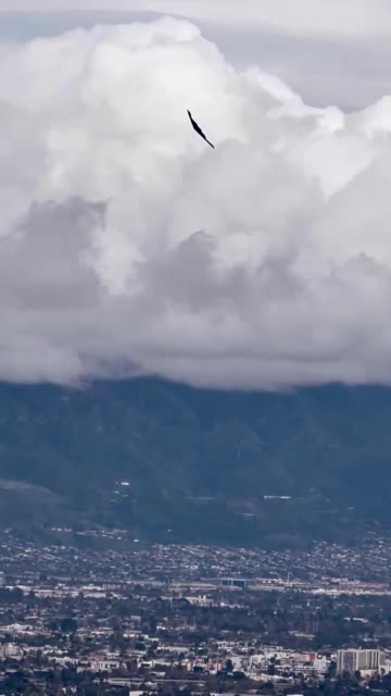 B-2 stealth bomber sighting over Burbank,