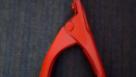 pet nail cutter beauty