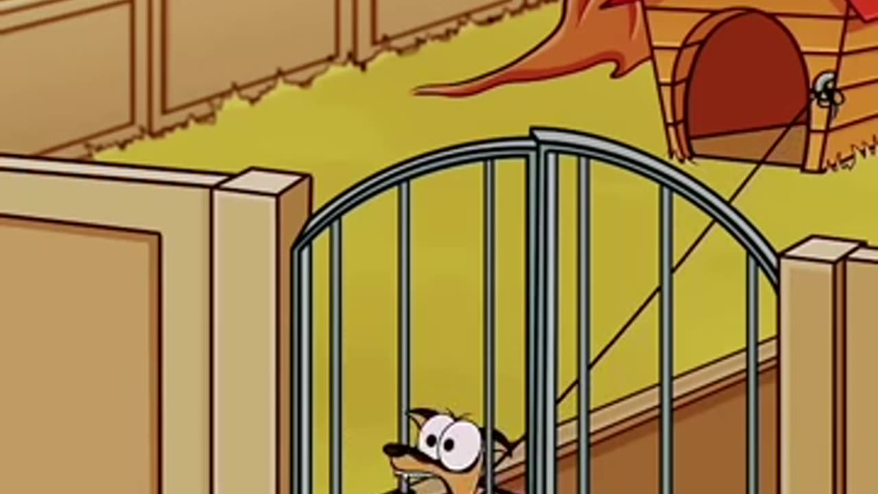 My brave mini pinscher 😂🤣 (4k memes) #shorts #animation