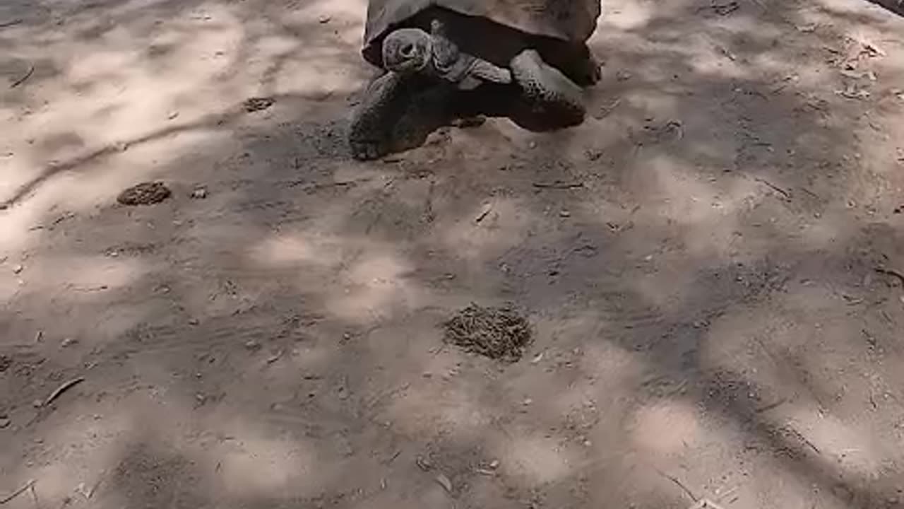 wild life world AZ