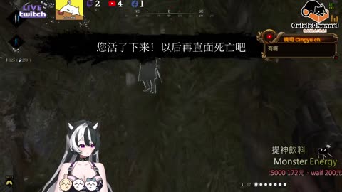 🌱vs🧟‍♀️ New version⭐新手向⭐🥺倉鼠系玩家🥺| 來聊天R ✨💎(๑˃̵ᴗ˂̵)و Culolo Channel(๑˃̵ᴗ˂̵)و 5 Taiwan優質台💎✨