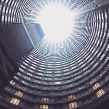 lauren southern short