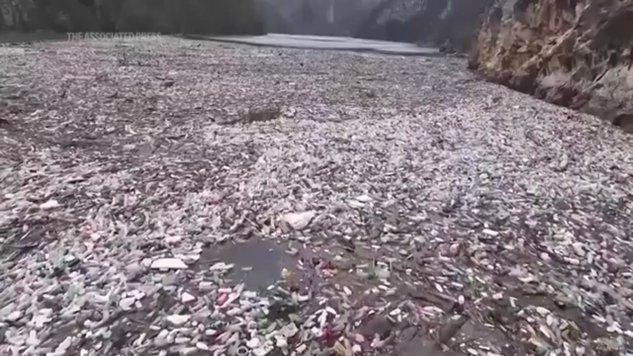 Negotiations for a global plastic pollution treaty fail in Geneva