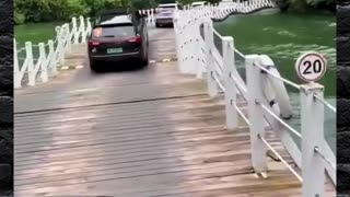 Speed Bumps on a Bridge is Criminal