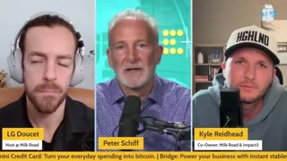 Bitcoin vs Gold in a Collapse — Peter Schiff Breaks It Down!