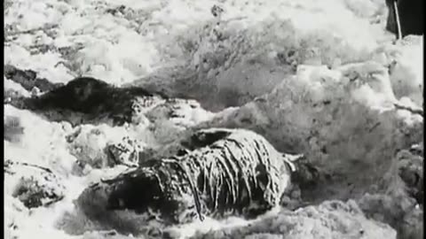 Gladiators of World War II - Waffen SS [E1 13]