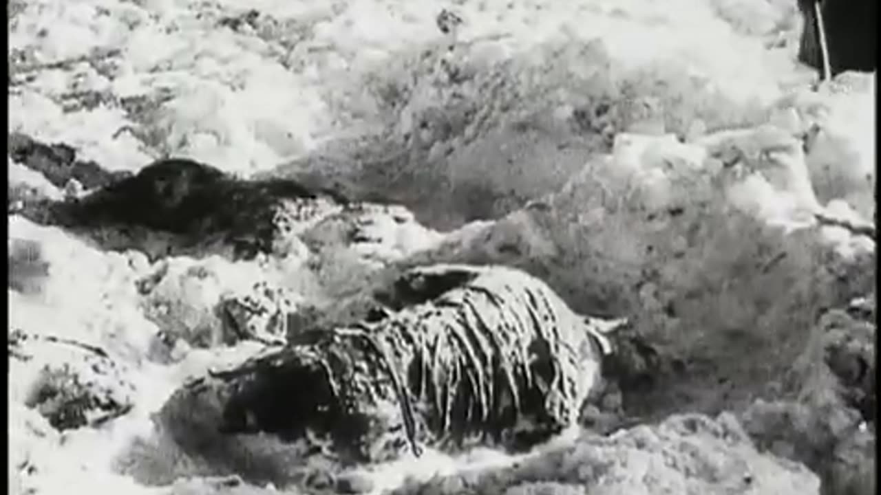 Gladiators of World War II - Waffen SS [E1 13]