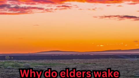 Old Age Sleeplessness Facts#ElderCare 🧓 #SleepTips 😴 #CalmNights 🌙 #RestEasy 🛏️ #GoldenYears 🌟