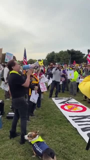 George Conway Humiliates Himself at “No Kings” Protest After Failed Chant Against Trump