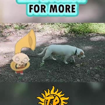 #FamilyGuy #StewieGriffin #entrepreneur #author #influencer #like #follow #share #subscribe #Shorts