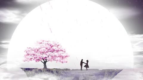 Couple Goals - Visualizer
