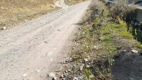 зарисовка под песню 250925