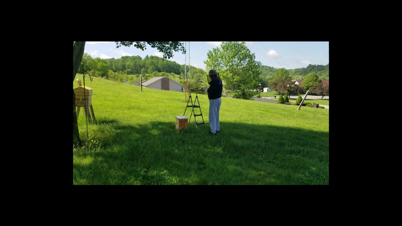swarm catch 5.6.25