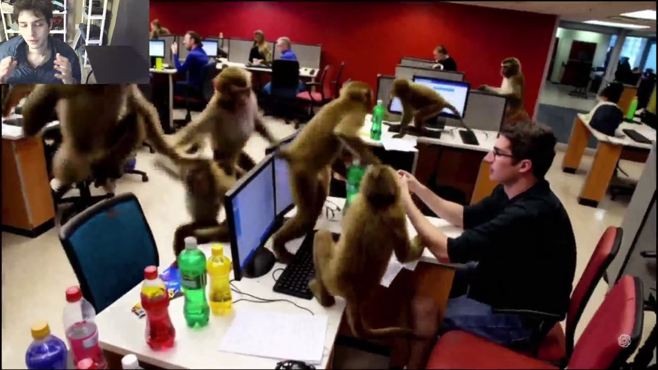 Outtake #1,054 Of Over 8 Monkeys Roam Around A Call Center Fake Funny Parody Video