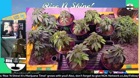 Rise ‘N Shine! It's Marijuana Time! Wake ‘N Bake Show - Ep 178 May 2, 2025