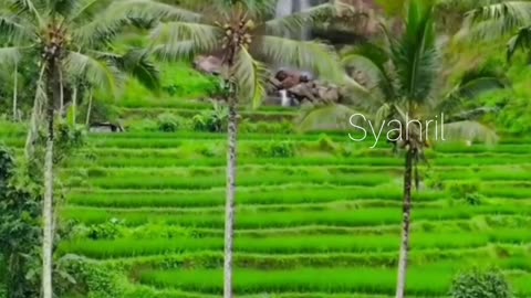 Beautiful Village Scenery That Warms the Heart