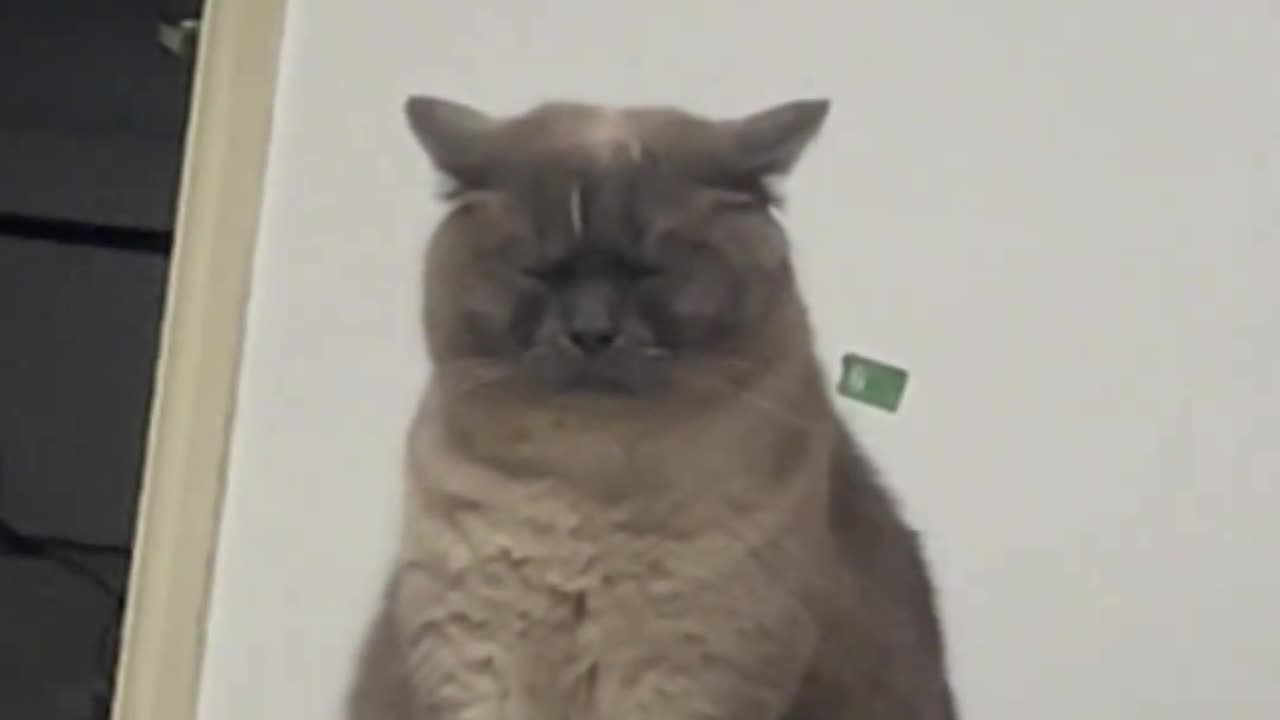 I can’t. This video makes me laugh every. single. time. 😂