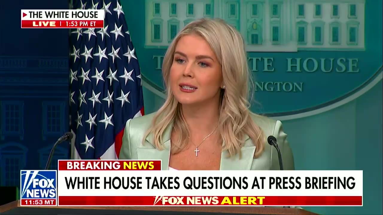 Karoline Leavitt claims 'many forensic analyses' prove Trump didn't sign Epstein letter