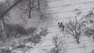 Troops of the Group of Forces Center Celebrate Winning the Battle for the Pokrovsk Agglomeration