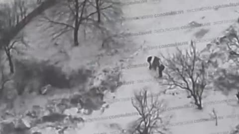 Troops of the Group of Forces Center Celebrate Winning the Battle for the Pokrovsk Agglomeration