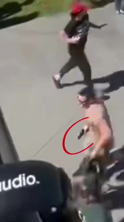 Charlie Kirk assassination - is this man running with a hand gun?